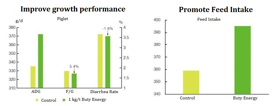 Sodium Butyrate + Essential Oil
