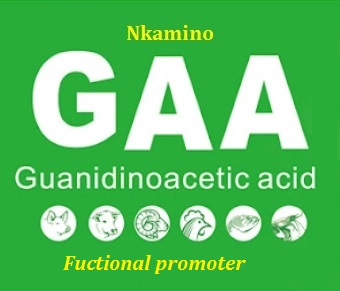 Guanidinoacetic acid (GAA)