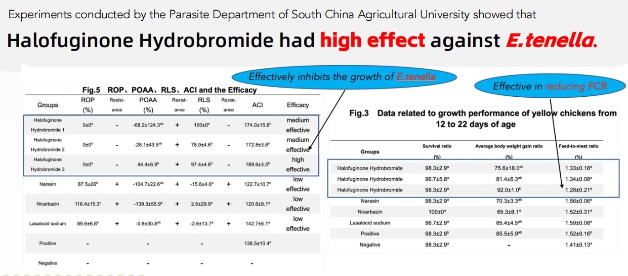 Halofuginone Hydrobromide 0.6% Halofuginone Hydrobromide 0.6%