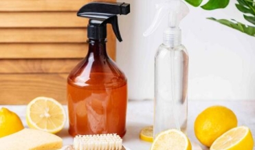 Citric Acid Anhydrous (Monohydrate) 