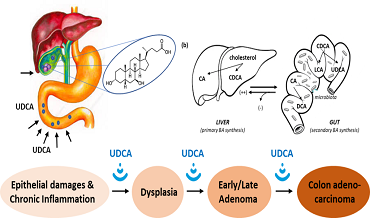 Efficacy and safety of ursodeoxycholic acid in patients with intrahepatic cholestasis of pregnancy
