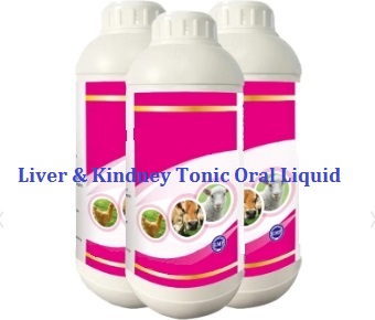 Liver & Kindney Tonic Oral Liquid