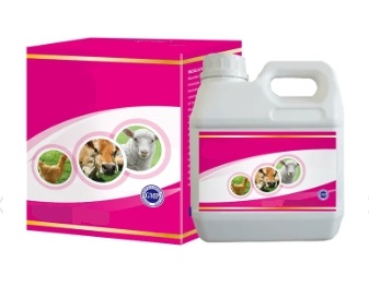 Liver & Kindney Tonic Oral Liquid