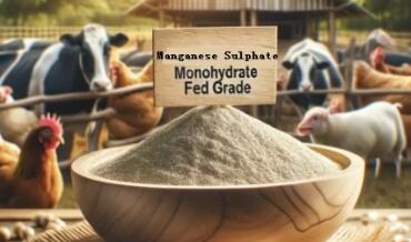 Manganese Sulphate Monohydrate