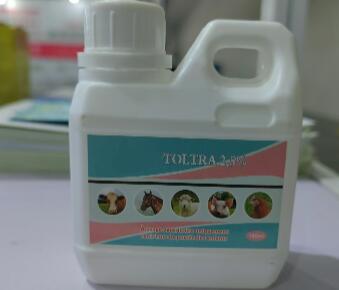 Toltrazuril 2.5% Oral Solution
