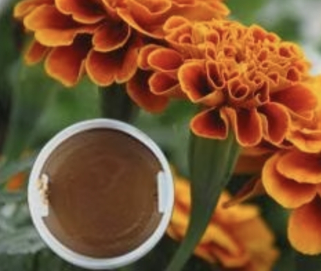 Marigold Oleoresin