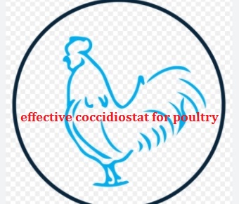 Diclazuril + Monensin combined anticoccidial premix