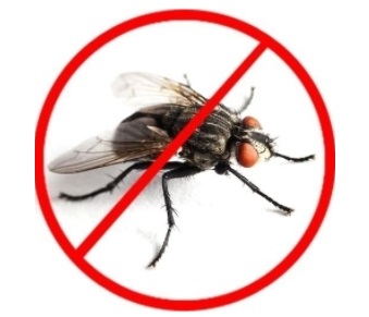 Cyromazine 1% premix