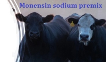 Effect of monensin on milk production efficiency
