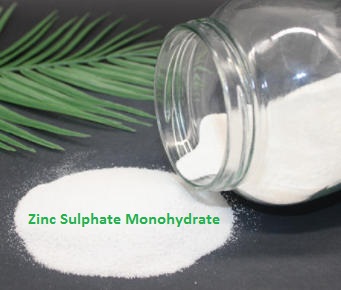 Zinc Sulphate Monohydrate