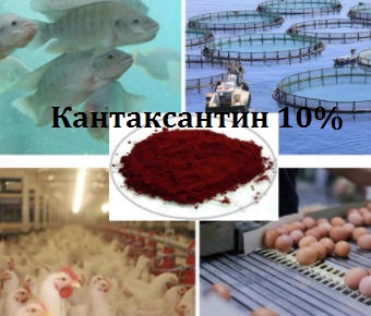 Кантаксантин 10%