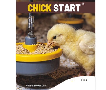 Chick Start