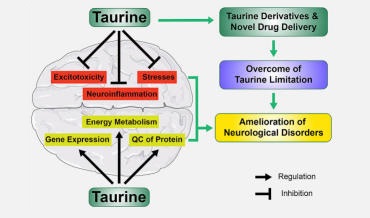 Taurine Benefits & Side Effects
