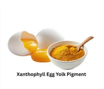Xanthophylls 2%